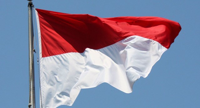 Hiệp định tránh đánh thuế hai lần giữa Việt Nam và Indonesia