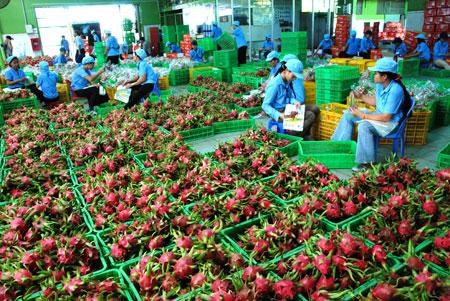 Bộ Công Thương đề nghị rà hoạt động xuất khẩu nông sản, trái cây qua biên giới