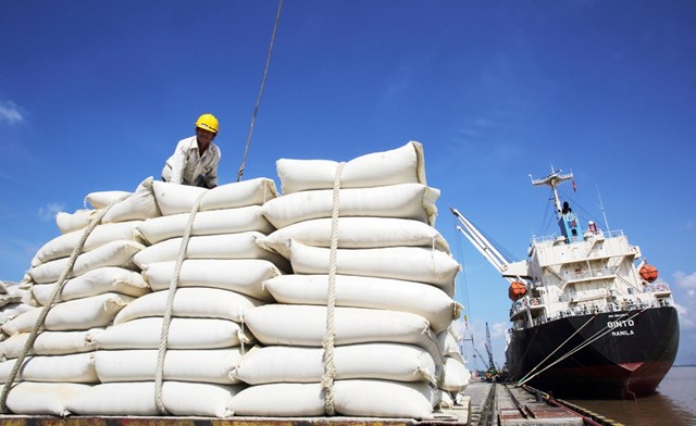 Đoàn công tác liên ngành kiểm soát hoạt động xuất nhập khẩu lúa gạo 