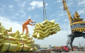 Mặt hàng gạo chiếm 30% tổng kim ngạch xuất khẩu hàng hóa sang Philippines