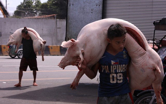 Trung Quốc bất ngờ cấm nhập khẩu thịt lợn từ Đức