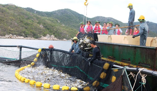 Chiến lược phát triển thủy sản: Yếu công nghệ, lo đầu ra cho tôm cá