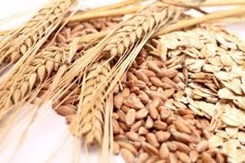 Thị trường TĂCN thế giới ngày 4/12/2020: Giá lúa mì giảm 4%