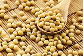 Thị trường TĂCN thế giới ngày 23/12/2020: Đậu tương trượt mốc cao nhất trong 6 năm