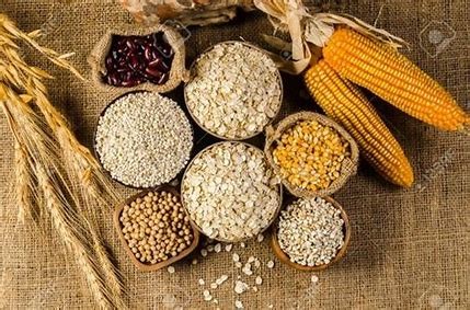 Argentina: Các cuộc biểu tình làm ảnh hưởng đến hoạt động của nhà máy ép dầu 