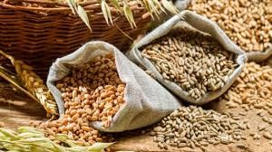 Thị trường TĂCN thế giới 18/1/2021: Ngô, đậu tương và lúa mì giảm giá