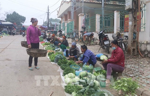 Cao Bằng: Giá các loại rau, củ giảm mạnh