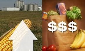 FAO: Chỉ số giá lương thực thế giới tăng