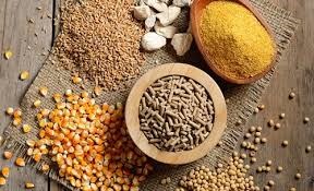 TT ngũ cốc thế giới ngày 16/03/2021: Giá Ngô tăng, đậu tương giữ ổn định, trong khi lúa mì giảm