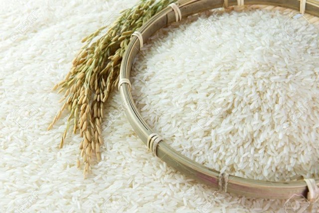 Quy định mới của EU về hạn ngạch nhập khẩu gạo Việt Nam trong EVFTA sẽ có hiệu lực từ 2022