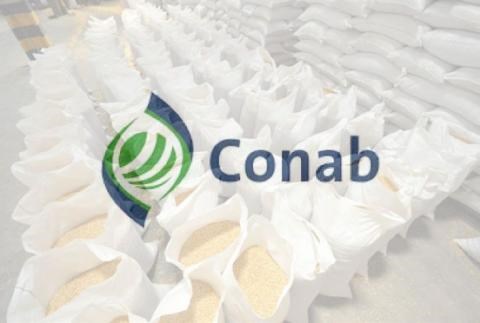 Brazil: CONAB tăng dự báo sản lượng đậu tương và giảm mạnh dự báo sản lượng ngô