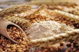 Giá ngũ cốc ngày 30/7, Lúa mì thiết lập mức tăng mới