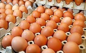 Giá trứng gia cầm sẽ thiết lập mặt bằng mới?
