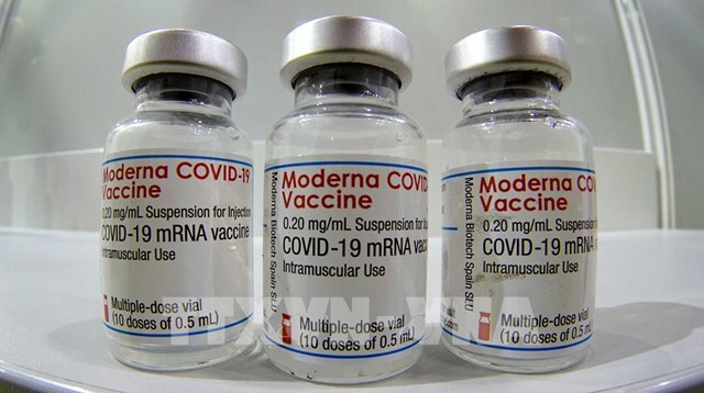 Anh cấp phép sử dụng vaccine của Moderna cho trẻ từ 12-17 tuổi