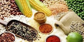 Giá ngũ cốc hôm nay 10/9: Ngô, đậu tương, lúa mì giảm trước báo cáo của USDA