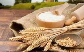 Giá ngũ cốc hôm nay 27/10: Ngô, đậu tương, lúa mì đồng loạt giảm 
