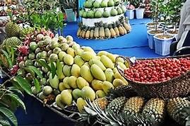 Trung Quốc áp dụng Lệnh 248 và 249, cấp mã số xuất khẩu nông sản cho gần 1.700 doanh nghiệp Việt