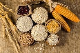 Giá ngũ cốc ngày 4/3/2022: Lúa mì, ngô, đậu tương đồng loạt tăng 