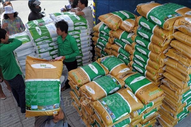 Xung đột Nga-Ukraine không tác động đến lượng gạo xuất khẩu của Campuchia