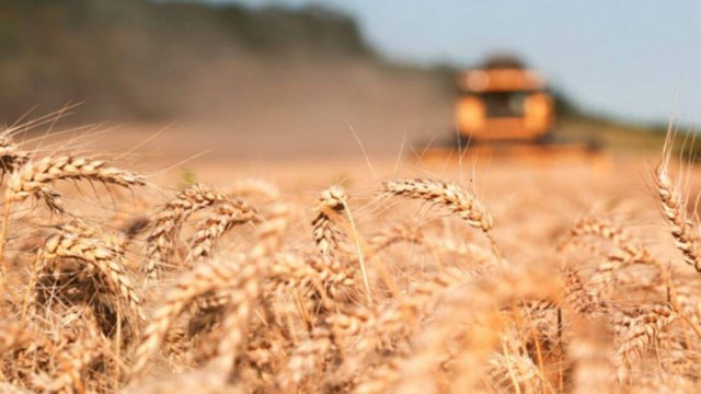 Brazil dự báo sản lượng ngũ cốc năm 2022 đạt kỷ lục