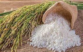 Quyết định số 340/QĐ-TTg xuất cấp gạo từ nguồn dự trữ quốc gia cho các tỉnh: Sơn La, Điện Biên 
