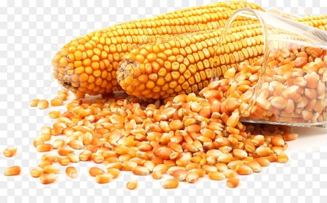 Giá ngũ cốc ngày 9/5/2022: Ngô, đậu tương giảm, lúa mì tăng
