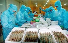 Xuất khẩu hải sản quý II sẽ chững lại vì thiếu hụt nguyên liệu và thẻ vàng IUU