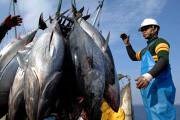 Lạm phát gia tăng ảnh hưởng xuất khẩu cá ngừ của Việt Nam