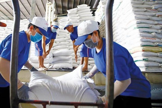 Gạo Việt có thật sự hưởng lợi giữa khủng hoảng lương thực thế giới?