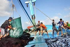 Đề án Phòng, chống khai thác hải sản bất hợp pháp, không báo cáo và không theo quy định đến năm 2025