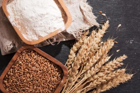 Giá ngũ cốc ngày 27/10/2022: Lúa mì và đậu tương tăng, ngô giảm