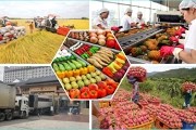 Nhiều nông sản Việt Nam chiếm lĩnh thị trường UAE