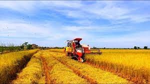 Phát triển hợp tác xã nông nghiệp trong tái cơ cấu ngành nông nghiệp và xây dựng nông thôn mới