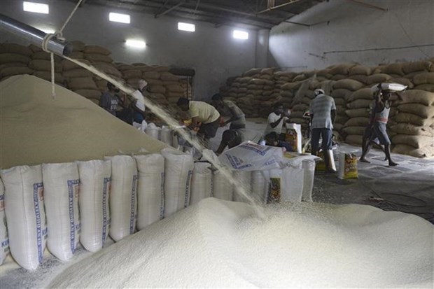 Ấn Độ cho phép xuất khẩu gạo sang Singapore