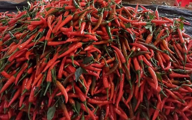 8 tháng đầu năm, Việt Nam xuất khẩu 8.296 tấn ớt, thu về hơn 15,7 triệu USD