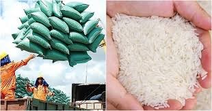 Giá gạo Ấn Độ tăng lên mức cao nhất trong hơn 2 tháng