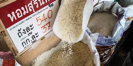 Xuất khẩu gạo của Thái Lan có thể giảm trong năm 2024