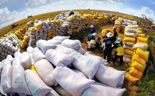 Xuất khẩu gạo năm 2024 được dự báo có nhiều triển vọng tích cực