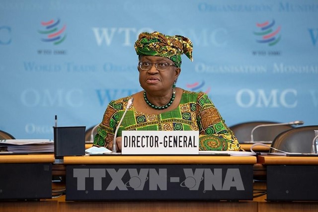 WTO công bố quỹ 50 triệu USD hỗ trợ nữ doanh nhân tại các nước đang phát triển