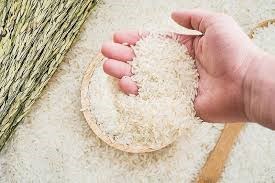 Giá gạo xuất khẩu của Ấn Độ tăng lên mức cao kỷ lục