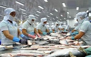 Kết luận cuối cùng của đợt rà soát chống bán phá giá đối với cá tra Việt Nam xuất khẩu sang Hoa Kỳ