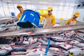 Mỹ tăng nhẹ thuế chống bán phá giá cá tra Việt Nam