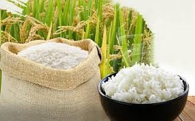 TT lúa gạo ngày 12/6/2024: Giá gạo nguyên liệu và gạo thành phẩm tăng nhẹ 50 đồng/kg.