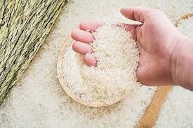 TT lúa gạo ngày 18/7: Giá gạo biến động trái chiều