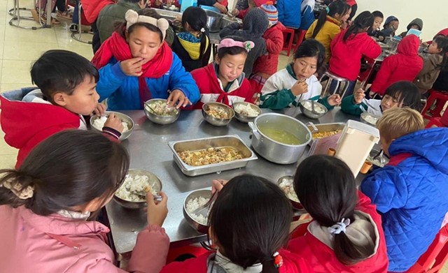 Yêu cầu nghiên cứu phản ánh về dinh dưỡng học đường