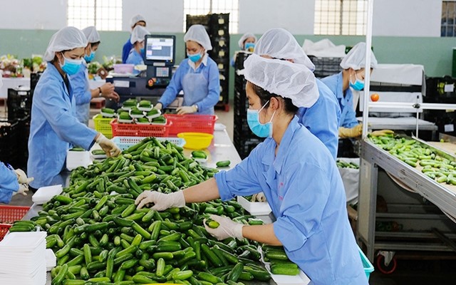 Kinh tế tuần hoàn: “Hộ chiếu xanh” cho hàng Việt xuất ngoại 