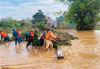 Nghị quyết số 380/NQ-CP: Các giải pháp khắc phục hậu quả thiên tai, phục hồi sản xuất sau mưa lũ lịch sử 