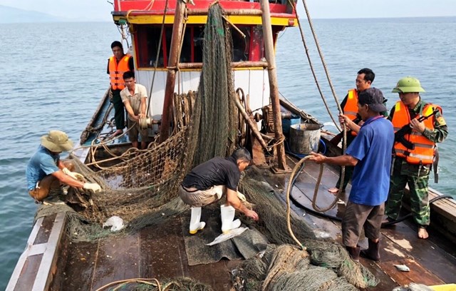 Quyết liệt gỡ “thẻ vàng” IUU cho thuỷ sản Việt Nam