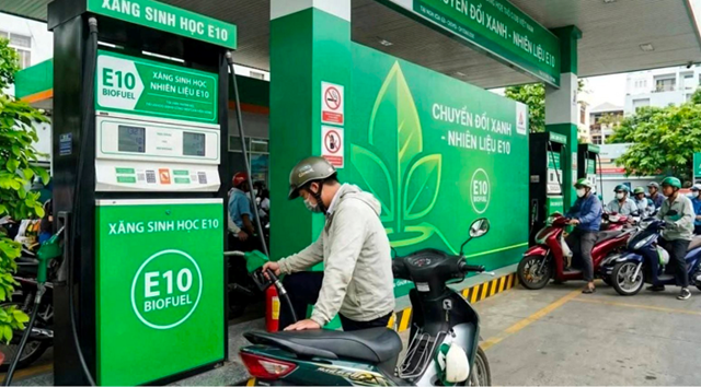 Ban hành Nghị quyết thí điểm một số chính sách trong triển khai lộ trình sử dụng xăng E10