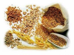 Giá đậu tương giảm chờ báo cáo diện tích và tồn kho của USDA